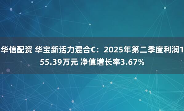 华信配资 华宝新活力混合C：2025年第二季度利润155.39万元 净值增长率3.67%