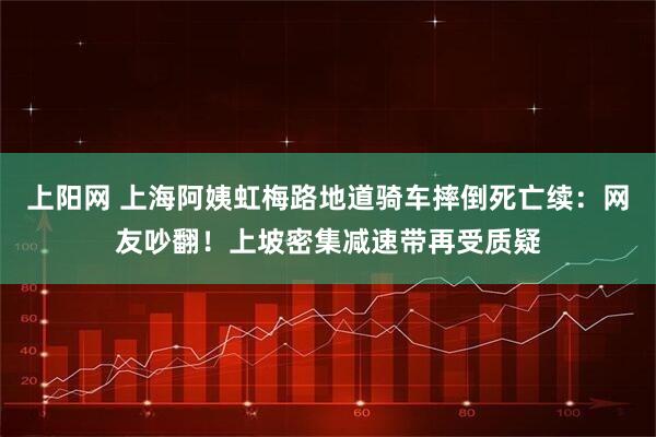 上阳网 上海阿姨虹梅路地道骑车摔倒死亡续：网友吵翻！上坡密集减速带再受质疑
